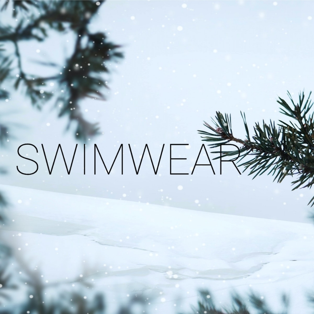 S W I M W E A R - image 4